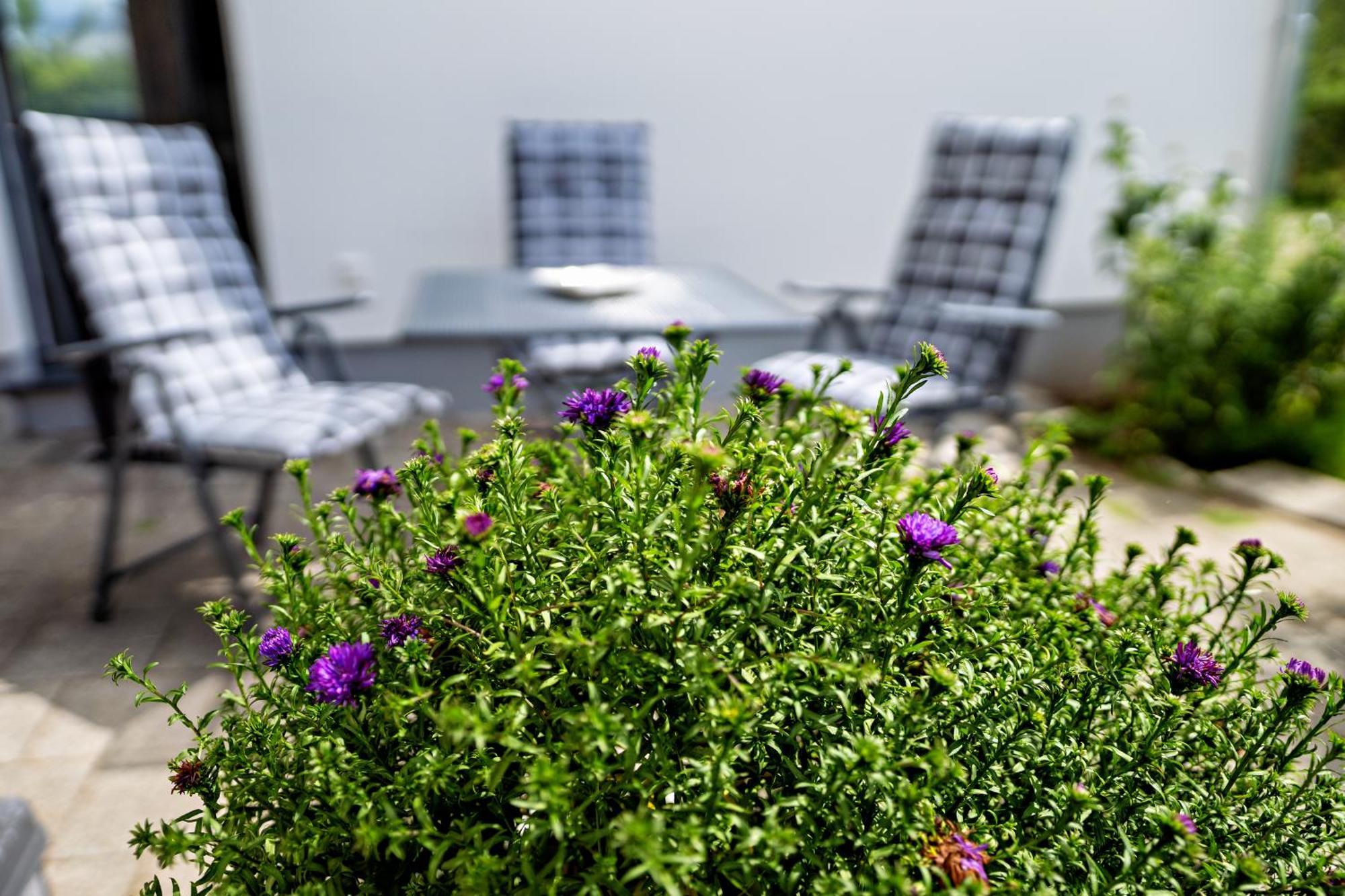 Appartement 2 - Duenenblick Börgerende-Rethwisch Zewnętrze zdjęcie